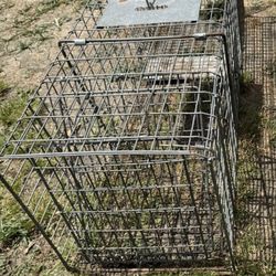 Large Trap…… Trampa Grande 