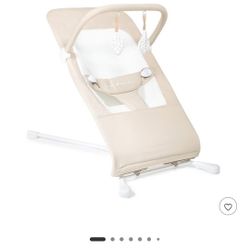 Baby Delight Bouncer 