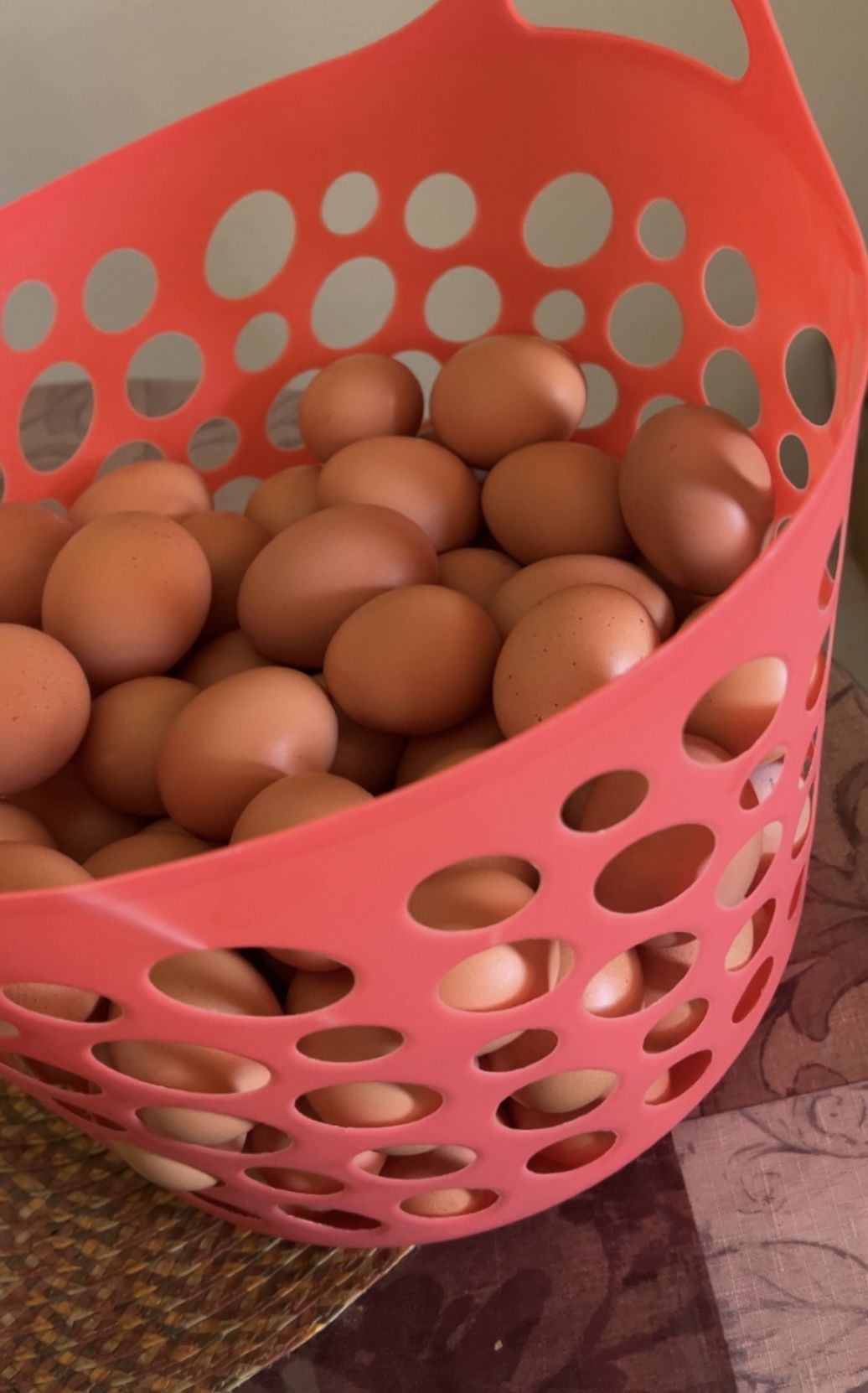 Fresh Farm Eggs / Huevos