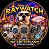 Ray Watch