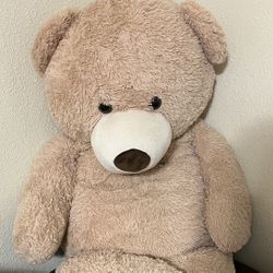 Huge Teddy Bear 