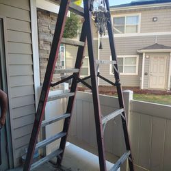 8' Foot Ladder