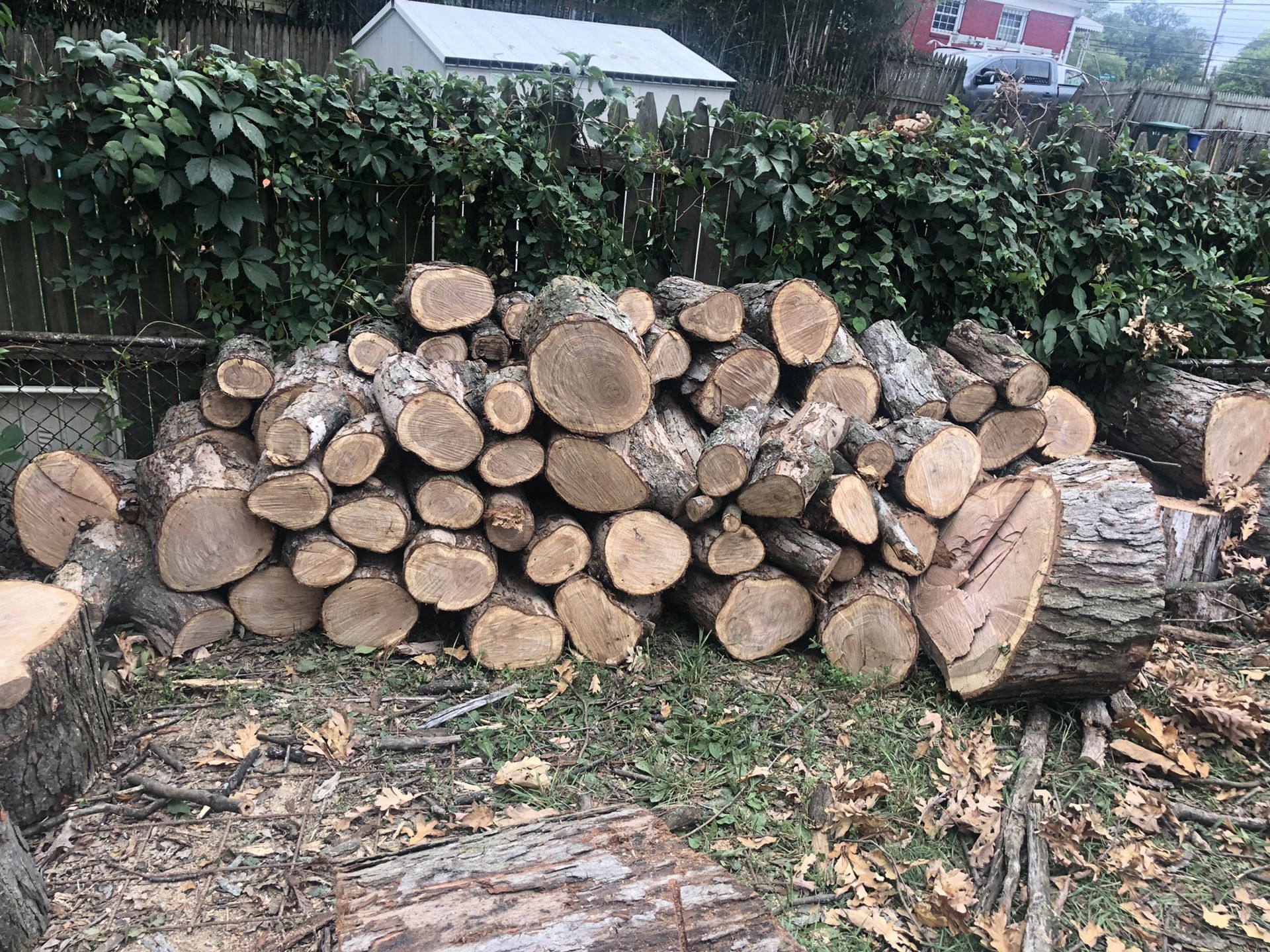 Free wood red oak