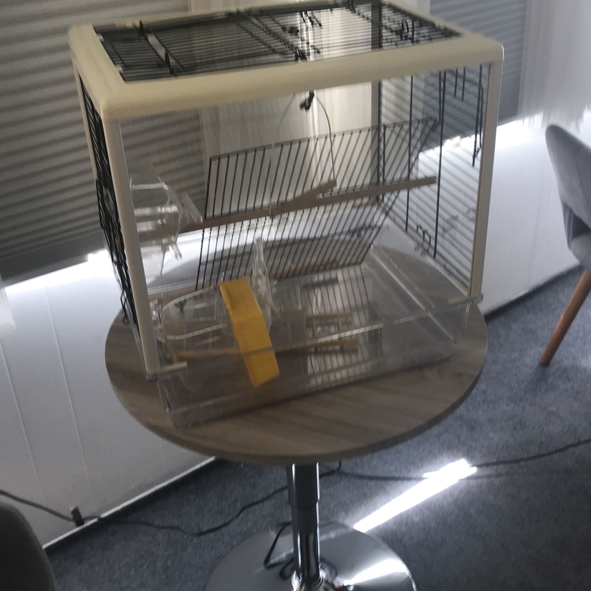 Contemporary birdcage, with plexiglass on front and back sides, with bird top opening, the bird mess stays inside, Perfect Condition, Like New