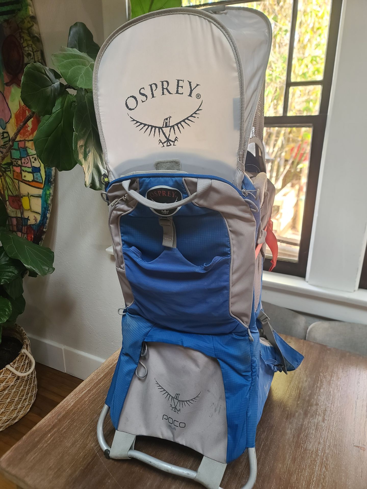 Osprey Poco Plus Child Carrier Hiking Backpack