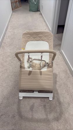 Baby Delight Bouncer