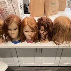 hair model heads. / manequin head