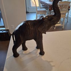 Beautiful Lucky Elephant 