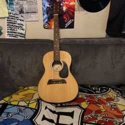Acoustic Guitar 