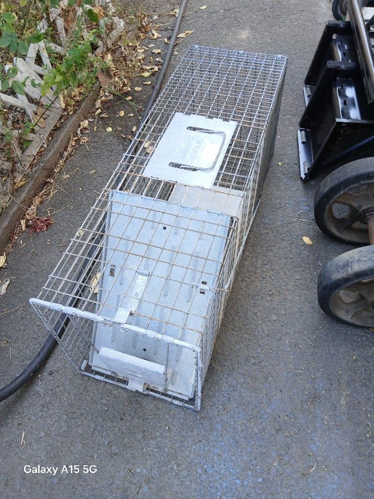 XL, Havahart Cage