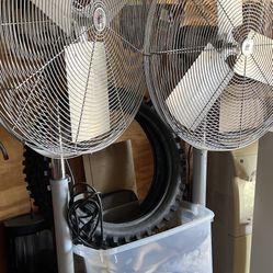 One For 250 Both For 500