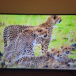 Samsung 55 inch 6 series Smart TV 2K