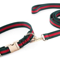 Fancy dogFancy dog leash and collar