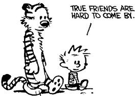 Looking for a friend