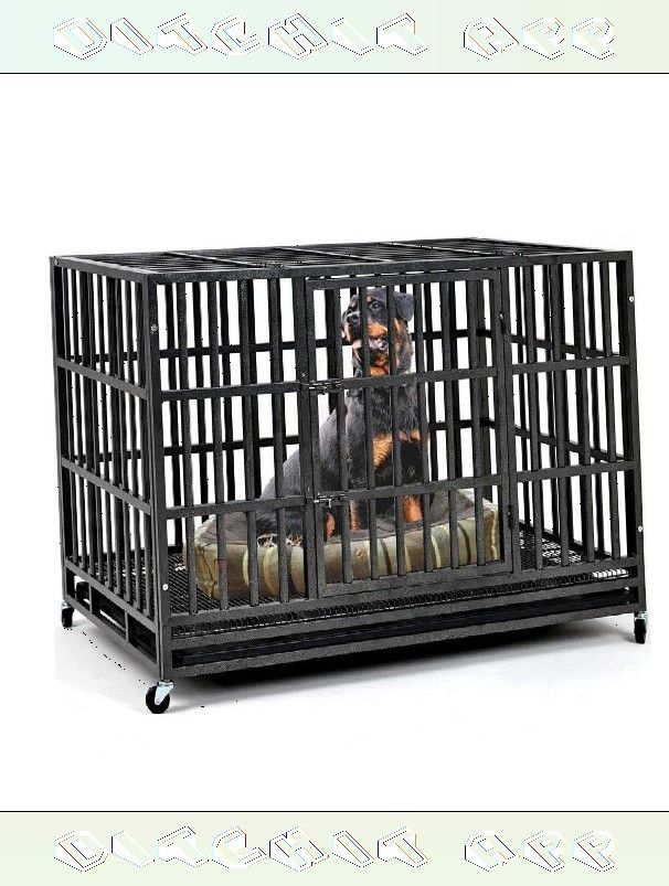 thank century Strong Pet Cages - Safety and Coziness for Your Pet Pal