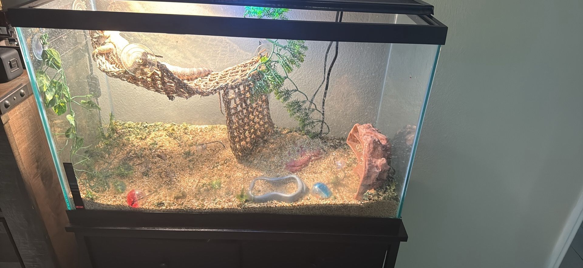 29 Gallon Enclosure (Used To Be A Fish Tank)+Stand+Additional Accessories (msg with any questions)