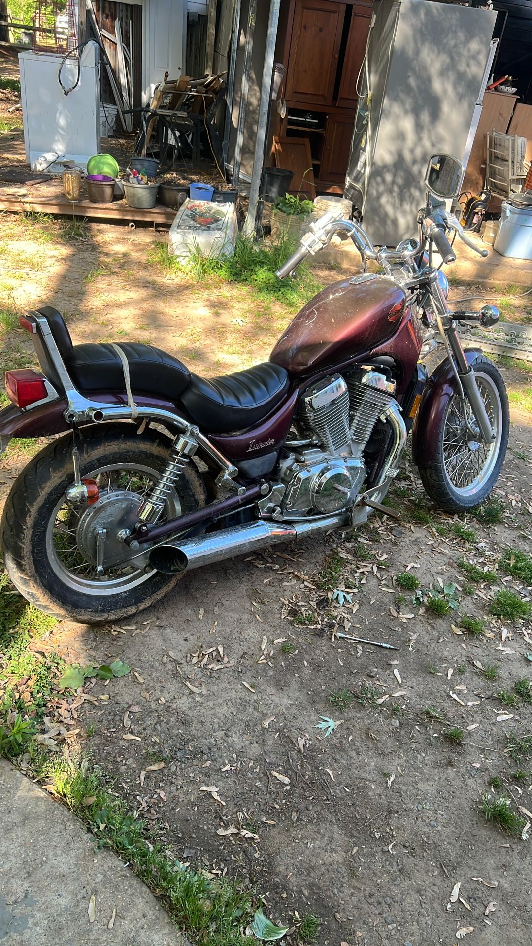 Suzuki Intruder
