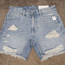 Arizona Long Shorts 