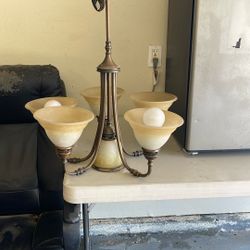 Hanging Light Chandelier