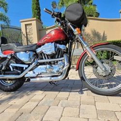 1998 Harley Davidson Sportster