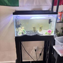 Fish tank W stand
