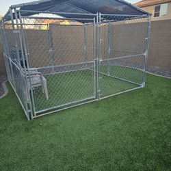 10×10 Dog Kennel 