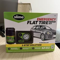Flat Tire Repair Kit 