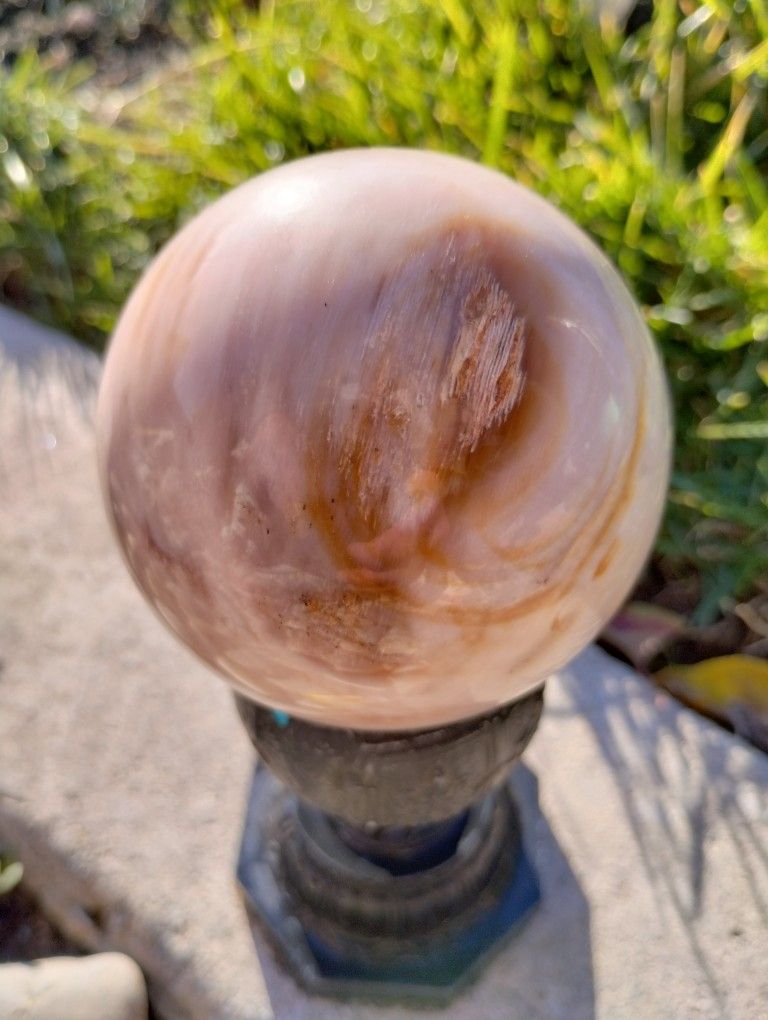 California Petrified Wood Spheres Local Opalized Granite Bay, Ca