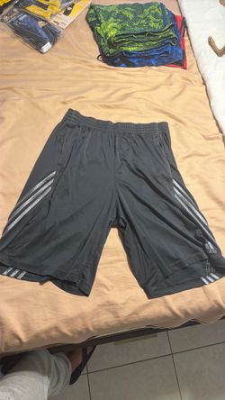 Grey Shorts