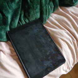 Apple Ipad