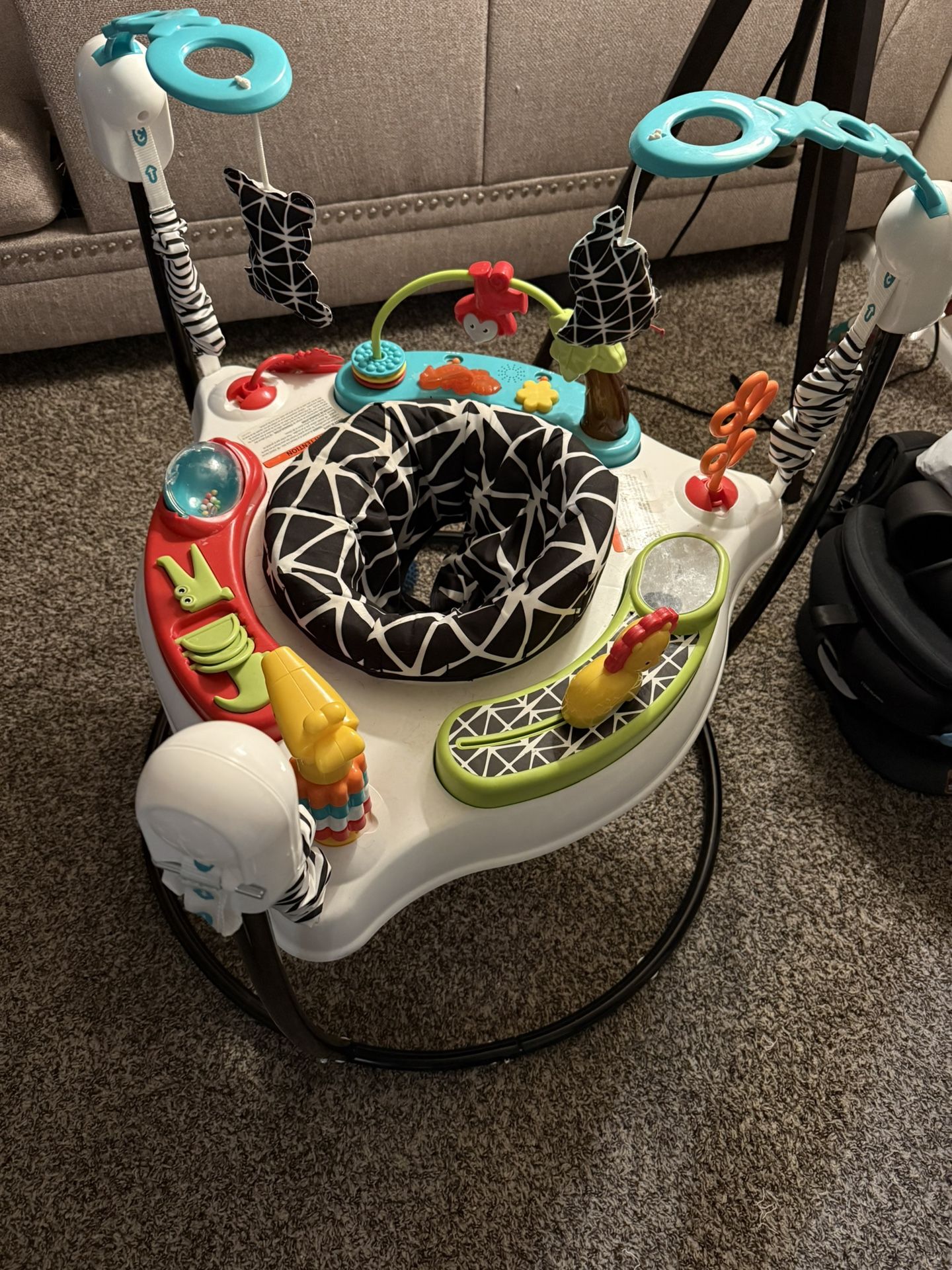 Fisher Price Baby Bouncer 