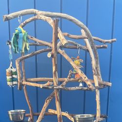 Parrot Perch Tree … All Natural n Custom ! Breeder Direct Wholesale Price!! 