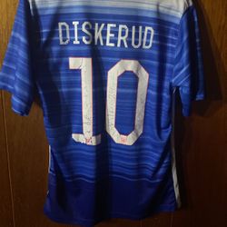 DISKERUD