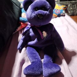 Beanie Babies! 