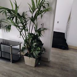 Tall Plants Artificial 