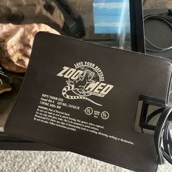 Terrarium Lizard/reptile Tank Set Up