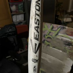 Fastpitch Easton Stealth 29” $100 OBO 