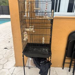 Bird cage