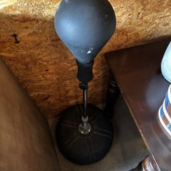 Everlast  Adjustable Reflex Bag