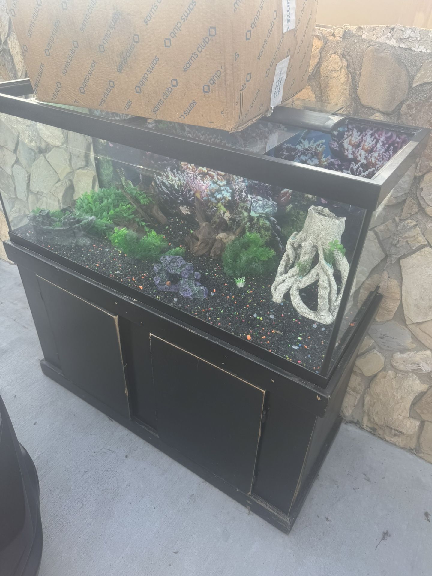 80 gallon fish tank