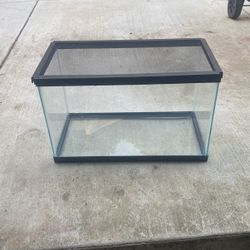 10 Gallon Tank 