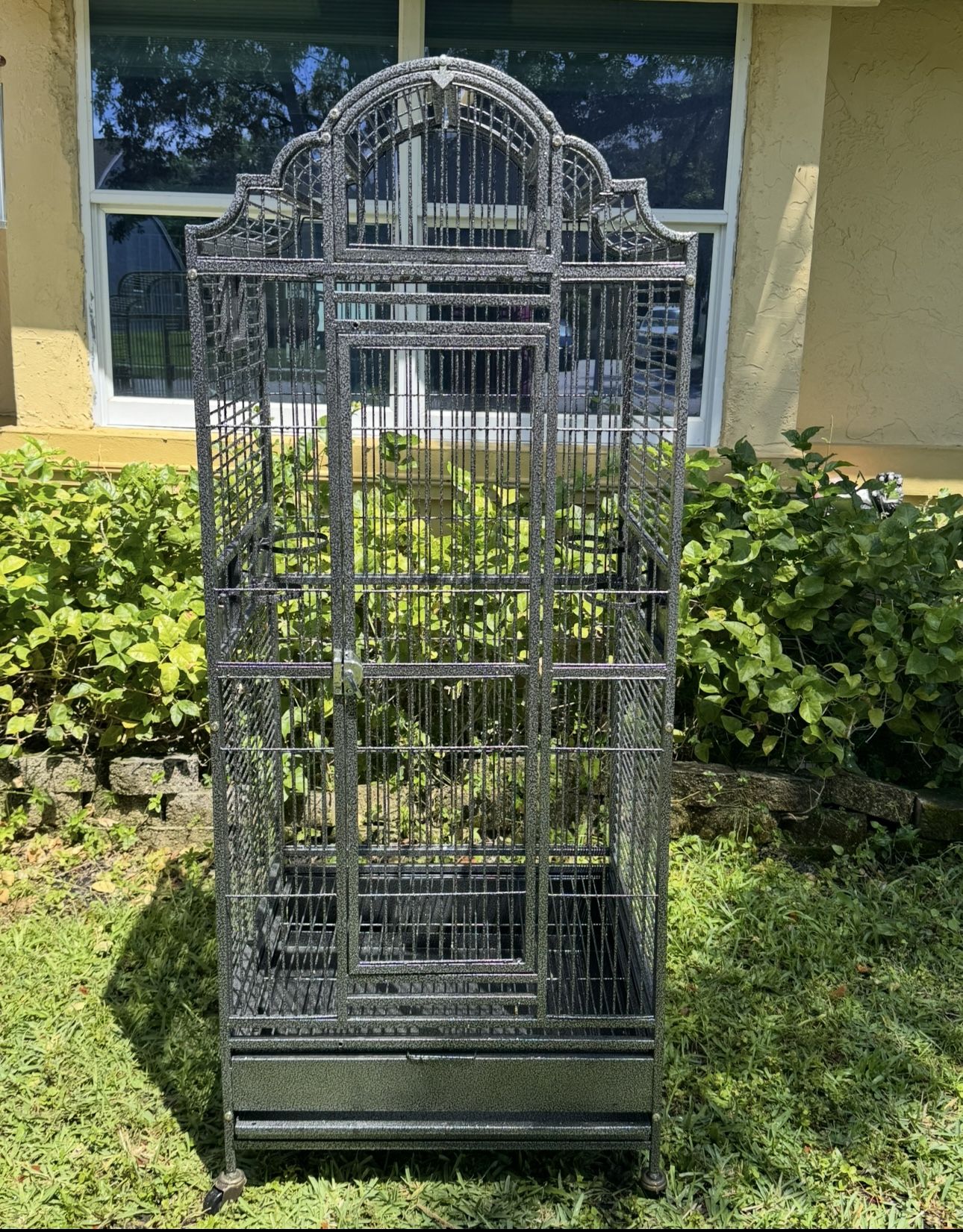 Bird Cage