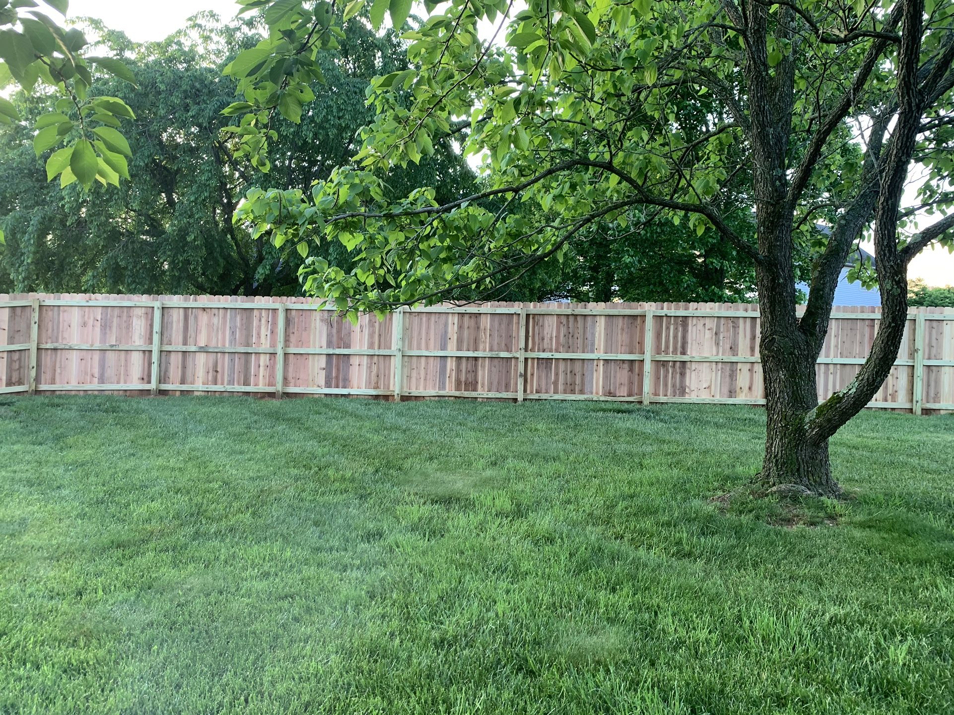6’ Privacy Ceder Fence