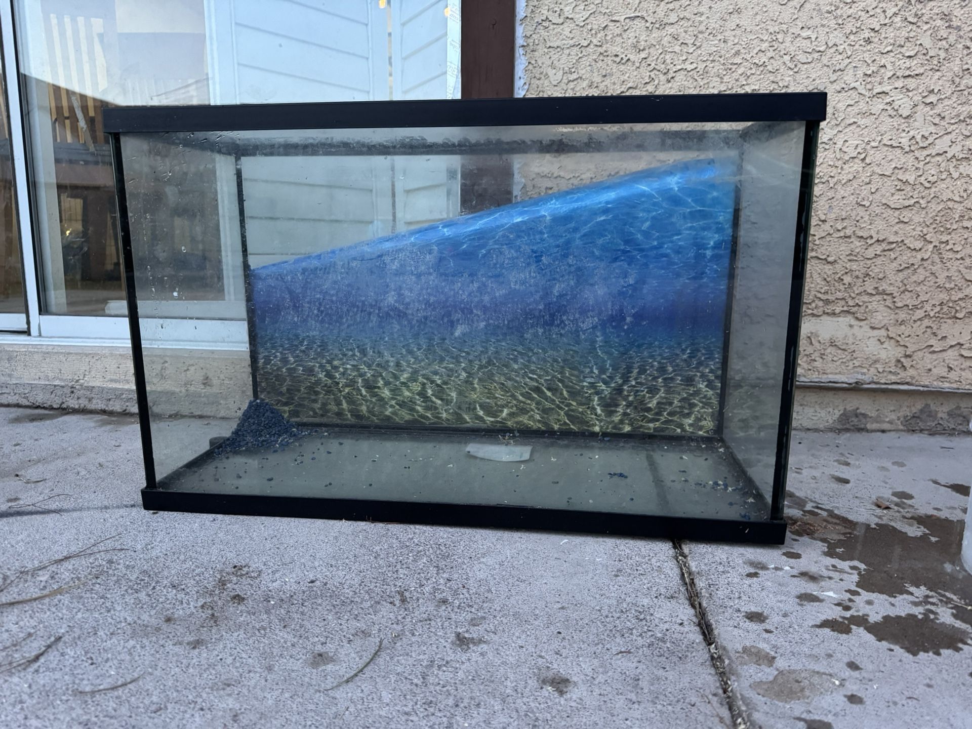 Fish Tank