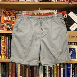 THE NORTH FACE-men’s gray/red nylon drawstring stretch waistband athletic shorts