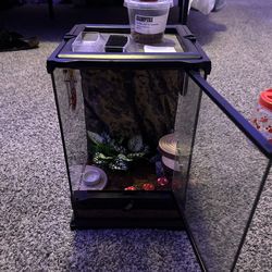 8x8x12.5 exo terra spider/tarantula glass enclosure full setup
