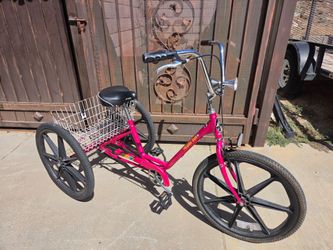 Miami Sun Adult Tricycle with Rear Basket