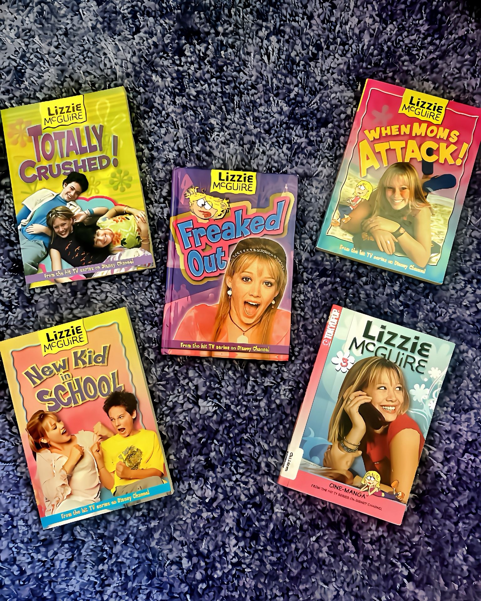 Lot Of Vintage Lizzie McGuire Books