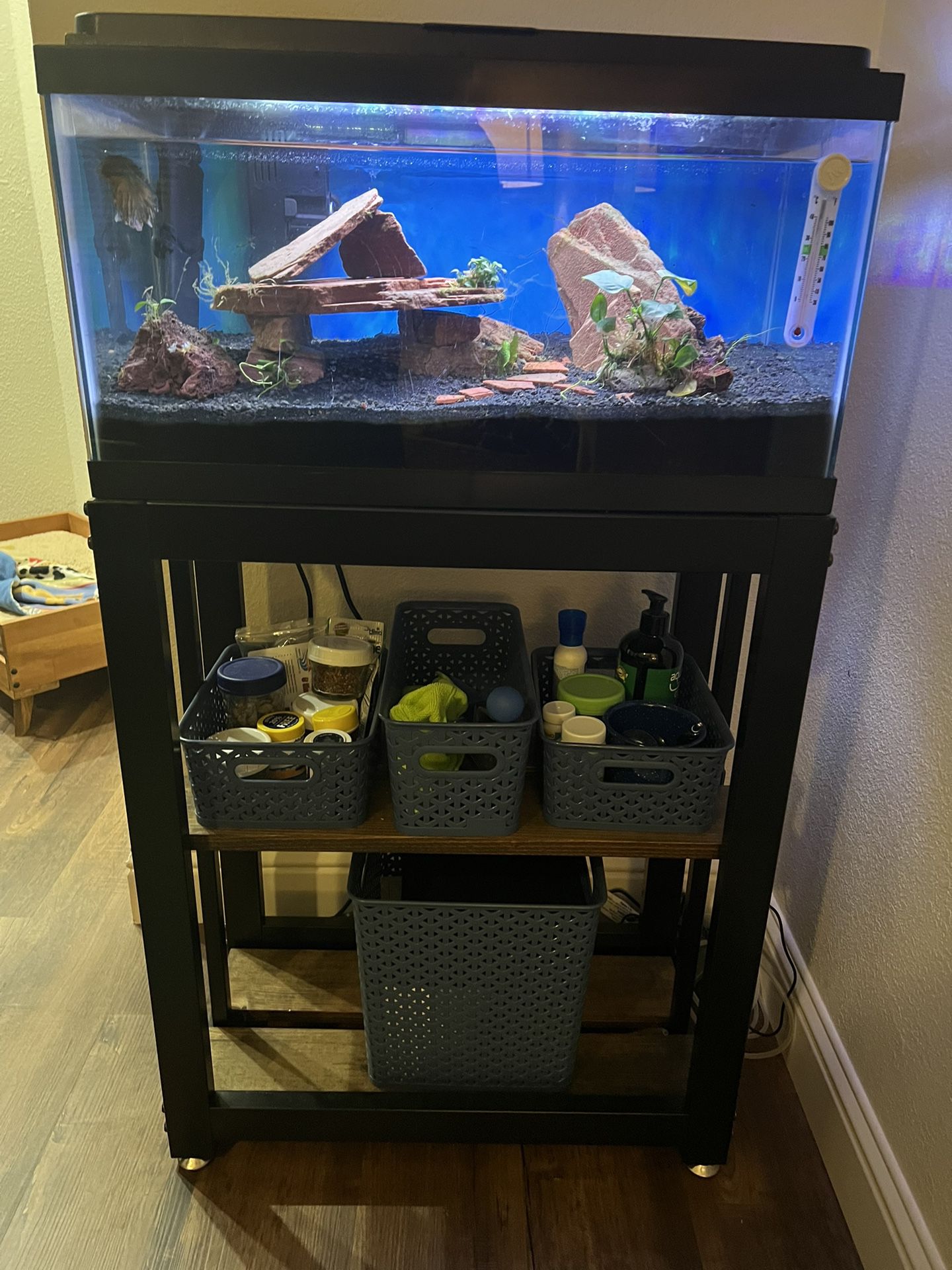 Complete Fish Tank Setup!