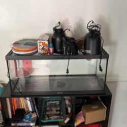 Bearded Dragon Enclosure